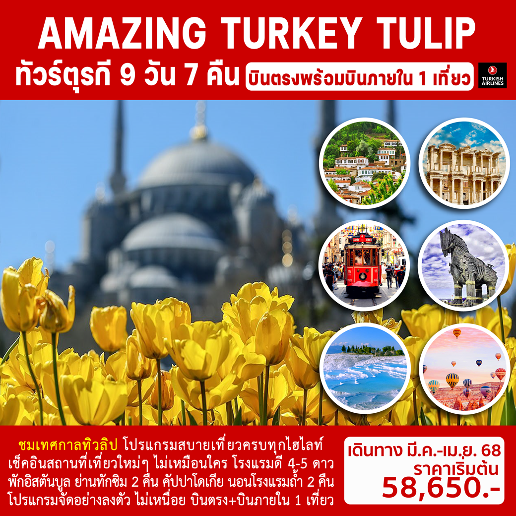 AMAZING TURKEY TULIP 9วัน 7คืน (TK)